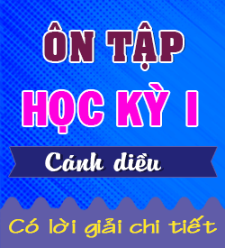 Ôn tập Học kỳ I (CD)